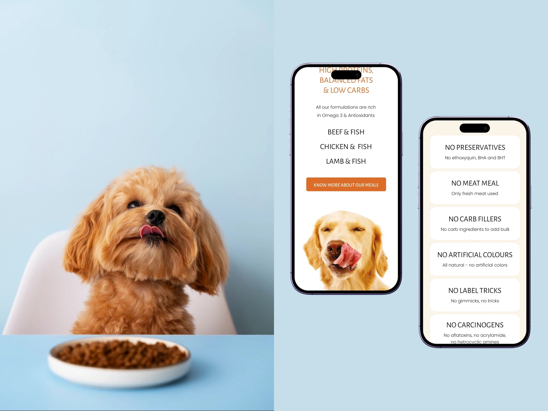 mobile design