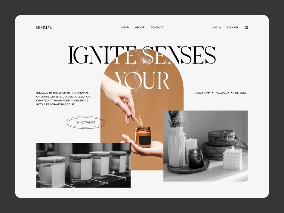 Mettevo Dribbble WordPress