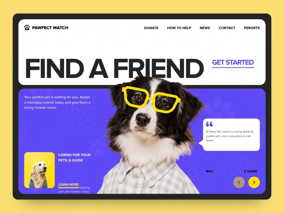 Mettevo Dribbble WordPress