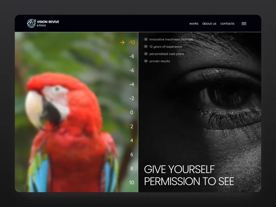 Mettevo Web Design Dribbble