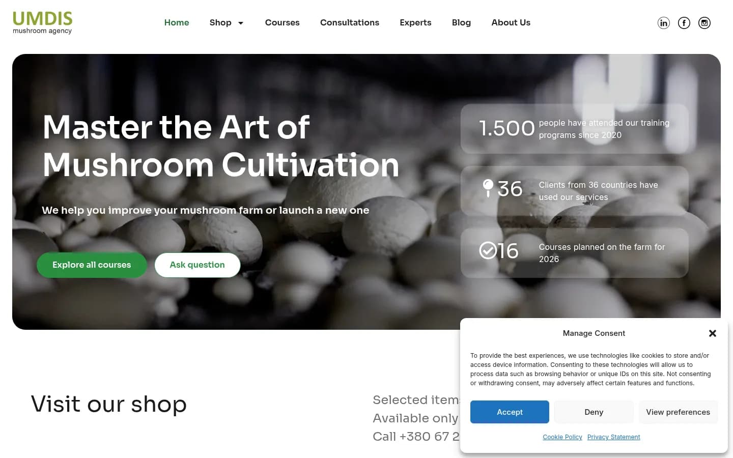 E-Learning Website Design: UMDIS | Mettevo