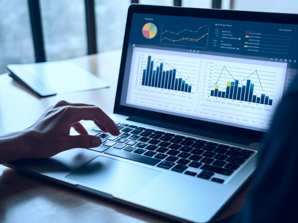 Person analyzing data on a laptop screen