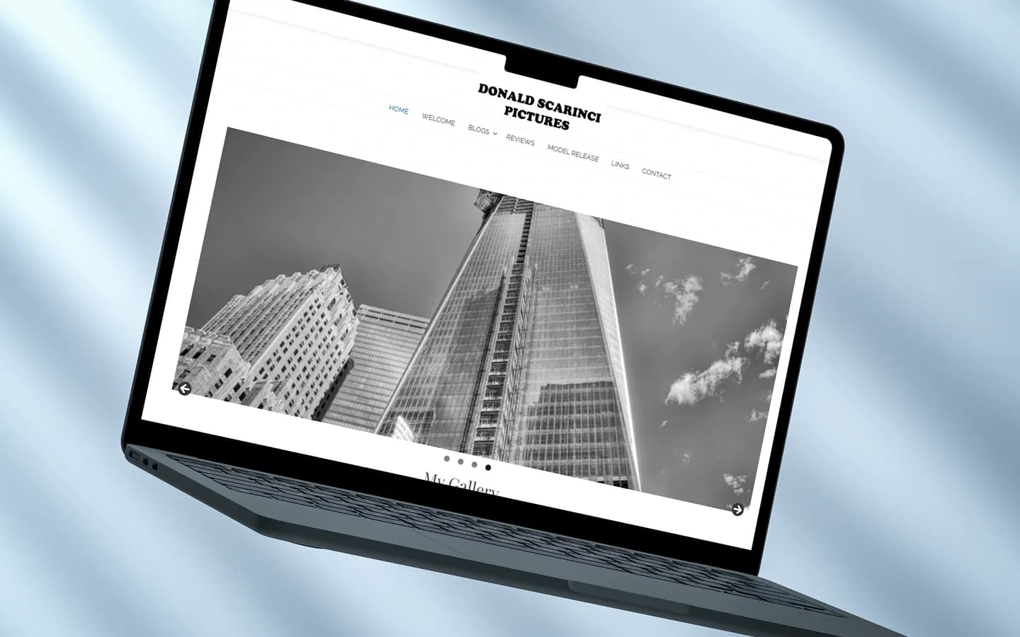 Photography Portfolio Website Design: Donald Scarinci Pictures | Mettevo